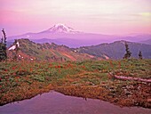 Mount Rainer National Park In Washington Usa