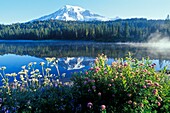 Mt. Rainier und Reflection Lake; Mt. Rainier National Park, Washington State, Usa