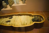Mummy In Coffin; Rome, Italy