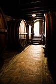 Weinfässer im Weinkeller; Castello Di Verrazzano, Greti, Italien
