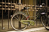 Old Bicycle By Fence; Florence, Italy