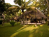 Marari Beach; Alappuzha, India