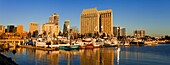 Thunfischhafen und Stadtsilhouette, Panorama; San Diego, Kalifornien, USA