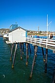 Spaziergänger am Municipal Pier; San Clemente, Orange County, Kalifornien, USA