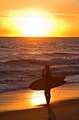 Surfer genießen den Sonnenuntergang am San Clemente Beach; San Clemente, Kalifornien, USA