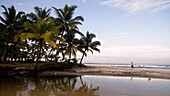 Mann geht am Strand in Kerala spazieren; Arabisches Meer, Kerala, Indien