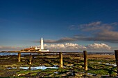 Küste und Leuchtturm in der Ferne; Whitley Bay, Northumberland, England