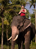 Junge Frau übt Yoga auf dem Rücken eines Elefanten; Kerala, Indien