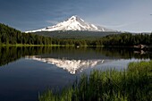 Mt. Hood Reflects In Trillium Lake; Mt Hood National Forest, Oregon, Usa