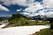 Schneebedecktes Feld, Tatoosh-Berge im Hintergrund; Mt Rainier National Park, Washington State, USA