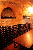 Wine Cellar; Tuscany, Italy