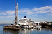 Kreuzfahrtschiff-Terminal am Pier 66; Seattle, Bundesstaat Washington, USA