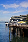 Waterfront Park Am Pier 59; Seattle, Washington State, Usa