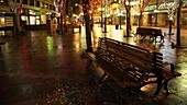 Seattle, Washington, Usa; City Park Benches At Night
