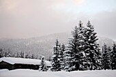British Columbia, Canada; Snow-Covered Rest Stop
