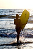 Frau am Strand mit Bodyboard; Puerto Vallarta, Mexiko