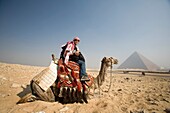 Ein junger Mann in der Wüste auf einem Kamel mit der Pyramide im Hintergrund; Kairo, Ägypten, Afrika