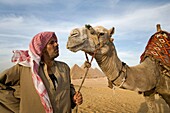Ein Mann in der Wüste mit einem Kamel und den Pyramiden im Hintergrund; Kairo, Ägypten, Afrika