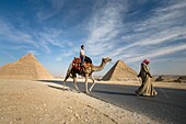 A Guide Leading A Camel And Passenger By The Pyramids; Cairo,Egypt,Africa