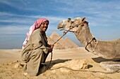 Ein Mann und ein Kamel mit den Pyramiden im Hintergrund; Kairo, Ägypten, Afrika