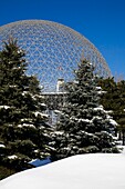 The Biosphere Museum