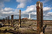 Holzpfähle mit Leuchtturm im Hintergrund; Northumberland, England
