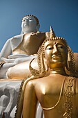 Buddhist Statues, Wat Phrathat Doi Kham Temple; Chiang Mai, Thailand