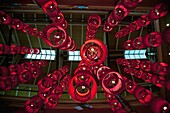 Red Chinese Lanterns In Thailand