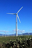 Wind Turbine, Zahara De Los Atunes, Cadiz, Spain