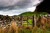 Rustic Fence; Northumberland, England
