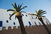 Palmen und Außenseite eines Gebäudes, Essaouira, Marokko