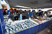 Lokaler Fischmarkt, Essaouira, Marokko