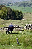 Mann auf einer Bank sitzend, Dumfries und Galloway, Schottland