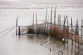 Salmon Nets, Dumfries And Galloway, Scotland
