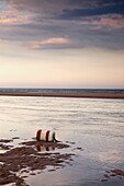 Boje am Meeresstrand