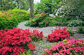 Path Through Flowering Gardens