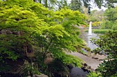 Blick auf Springbrunnen und Teich durch Laub