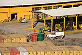 Commercial Docks In Mazatlan, Sinaloa, Mexico