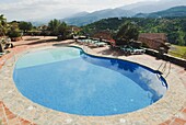 Swimming Pool, Malaga, Andalucia, Spain