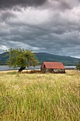 Hütte auf einem Feld; Strontian, Highland, Schottland