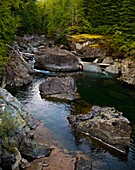Schöner Fluss, Elk Falls, Britisch-Kolumbien, Kanada