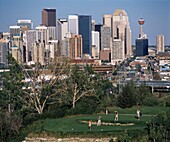 Golfing, Calgary, Alberta, Canada