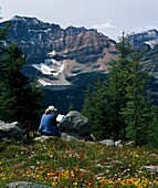 Lesender Wanderer auf einem Felsen neben Wildblumen mit Blick auf die schroffen Berge, Banff National Park; Banff, Alberta, Kanada