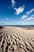 Beach In Bamborough, Northumberland, England