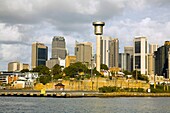Highrise Buildings In Sydney, Australia