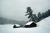 Abandoned Homestead In Snow Storm
