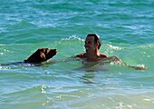 Mann schwimmt mit seinem Hund im Meer