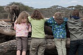 Watching Elephants, Kenya, Africa