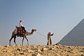 Young Woman Tourist Riding A Camel Lead By A Guide At The Pyramids Of Giza, Egypt