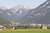 Achensee mit weidendem Vieh und Bergen, Maurach, Tirol, Österreich